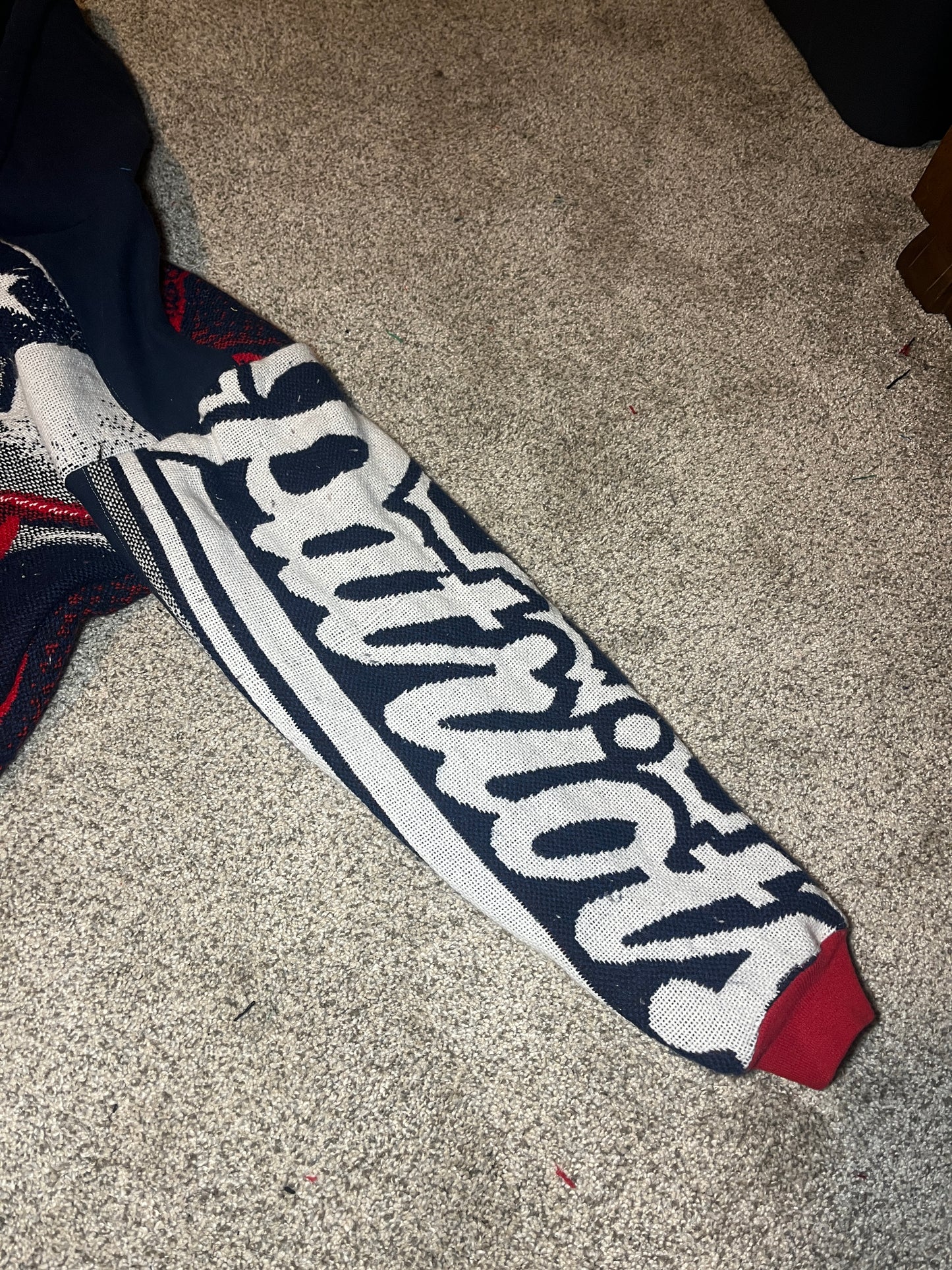 Patriots tapestry hoodie