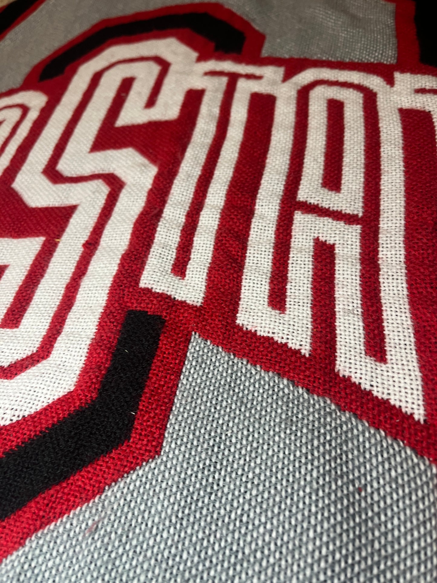 Ohio State script tapestry hoodie